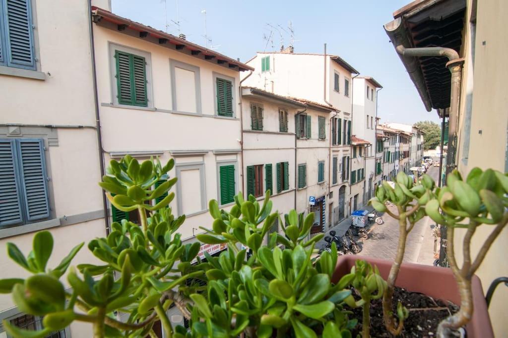 Romantic Apt In San Frediano Флоренція Екстер'єр фото
